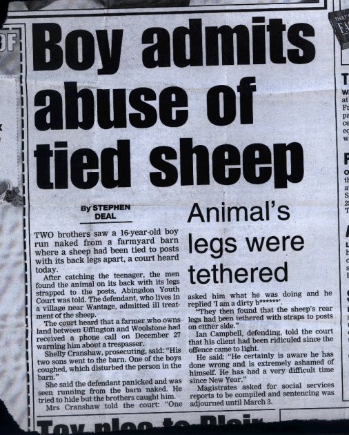 News clipping where youths were caught having sex with a tethered sheep